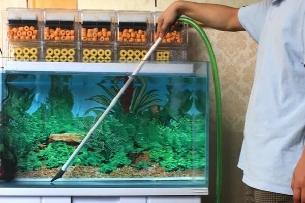 生态鱼缸多久换水一次，至少要两个星期换一次
