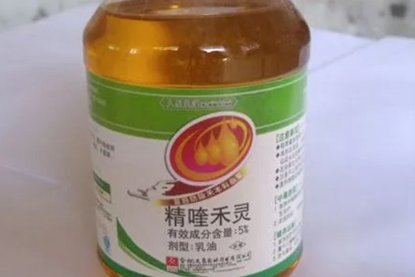 精喹禾灵的防治对象，以一年生和多年生禾本科杂草为主