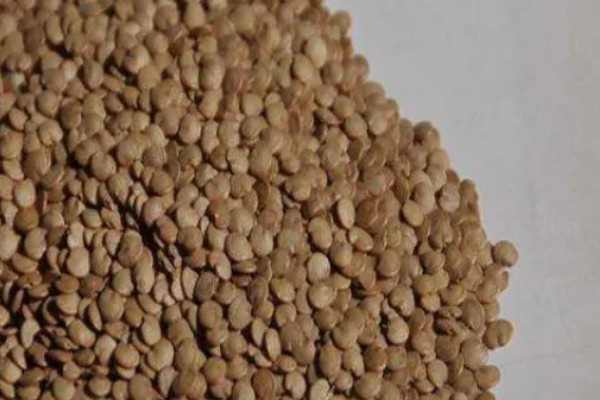 茄子褐纹病如何防治,及时将田间的病残体清理干净