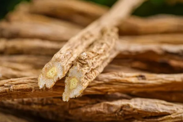 党参的种植效益，种一亩的成本在3000元左右