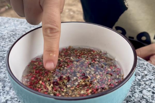 为什么菠菜长得慢，可能是温度过高所致