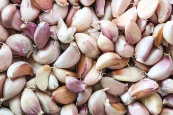 种植蒜瓣要不要剥皮，剥皮后会导致发芽率下降