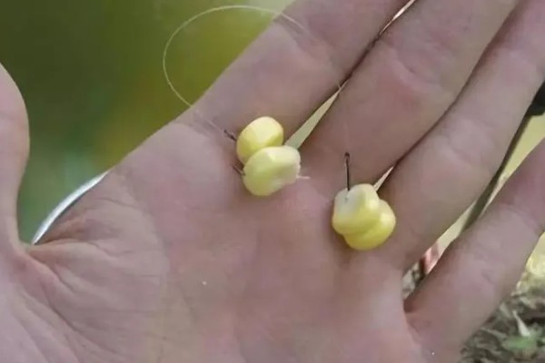 冬季钓鱼选择哪种鱼钩，垂钓小鱼可使用2-4号袖钩等钩型