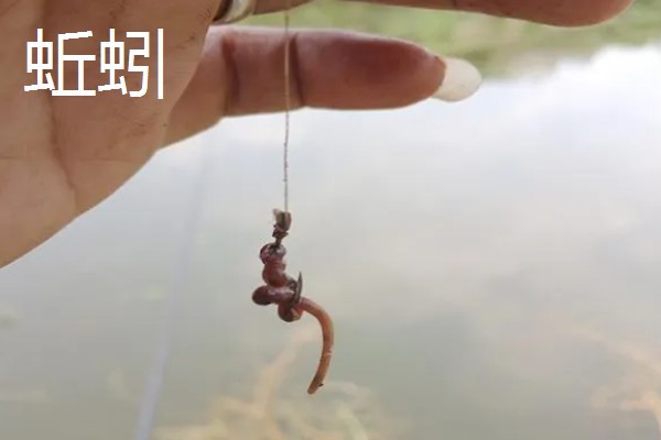 冬季钓鱼选择哪种鱼钩，垂钓小鱼可使用2-4号袖钩等钩型