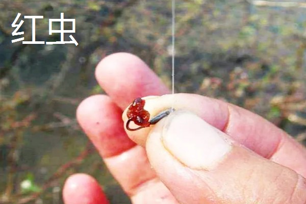 冬季钓鱼选择哪种鱼钩，垂钓小鱼可使用2-4号袖钩等钩型