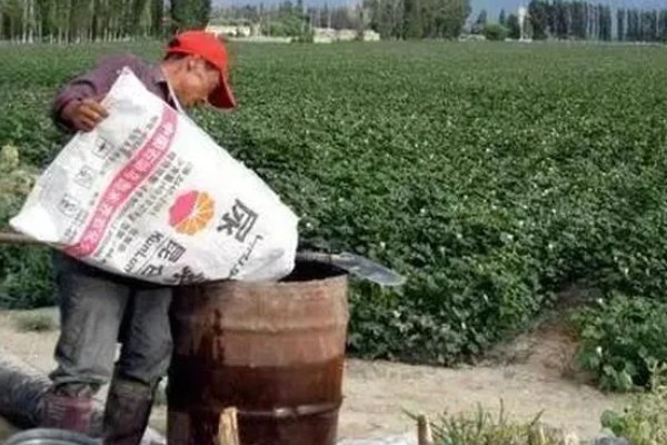 棉花怎么种植，播种至破土出苗时把土壤湿度保持在70-75%