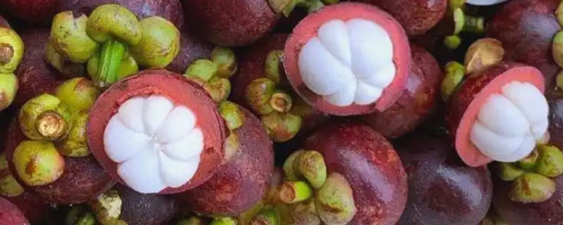 山竹产自哪里，原产于马鲁古地区