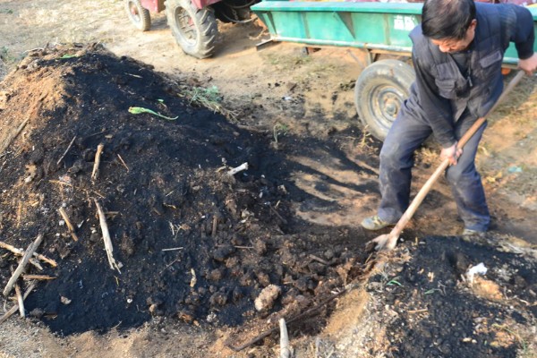 谷子的施肥方法，穗肥在抽穗前7-10天施用