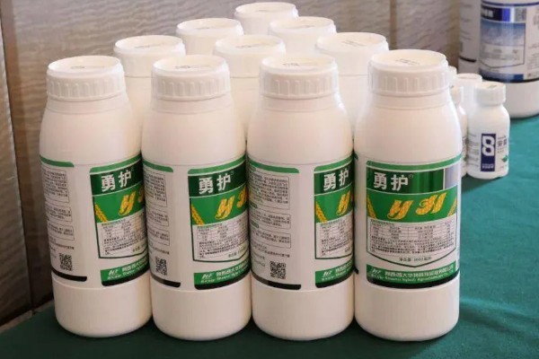 谷子的施肥方法，穗肥在抽穗前7-10天施用