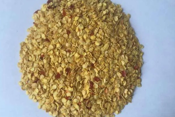 萝卜怎么种植，肉质根膨大盛期要追施复合肥