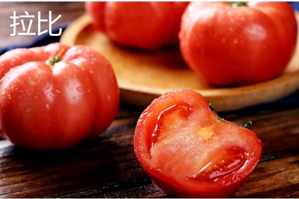 耐储运的番茄品种,推荐吉诺比利、千禧等