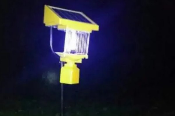 怎么防治蛴螬，药物灌根是常用方法