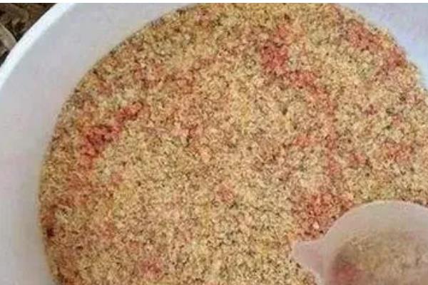 黑坑冬季钓鲫鱼的技巧，饵料可以用腥味的