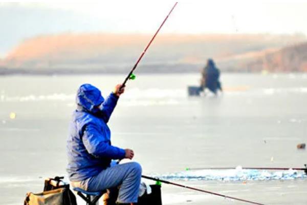 黑坑冬季钓鲫鱼的技巧，饵料可以用腥味的