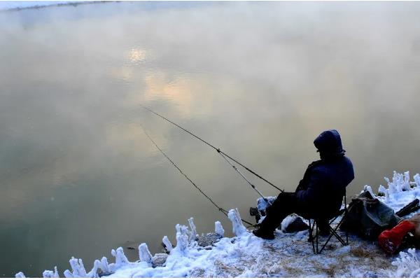 黑坑冬季钓鲫鱼的技巧，饵料可以用腥味的