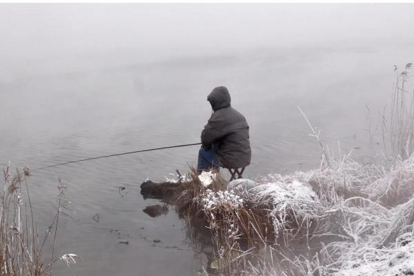黑坑冬季钓鲫鱼的技巧，饵料可以用腥味的