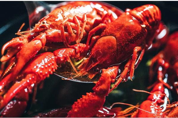 小龙虾一年四季都有吗，一年四季都有
