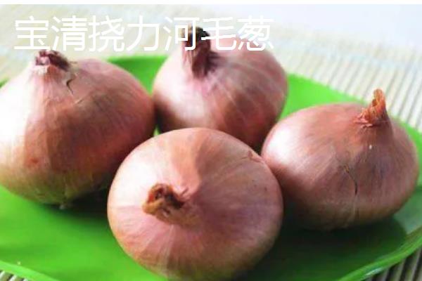 黑龙江双鸭山的特产，有黑木耳、蕨菜等