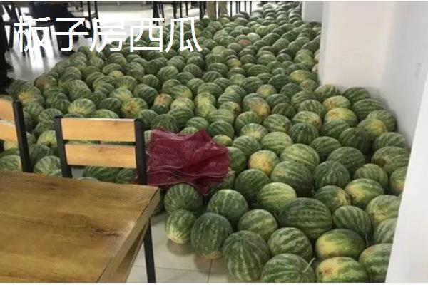 黑龙江双鸭山的特产，有黑木耳、蕨菜等