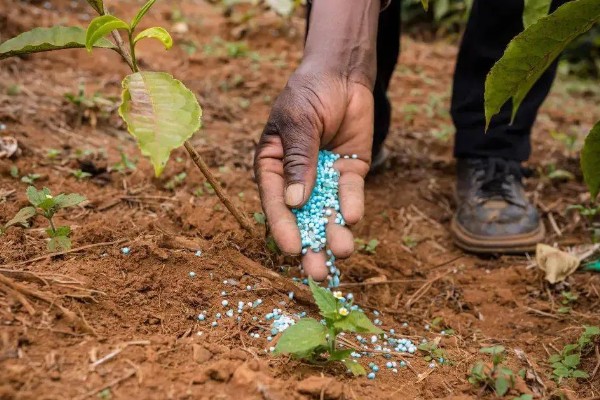 合理施用化肥有利于环境保护吗，合理施用都能为环境保护做出贡献
