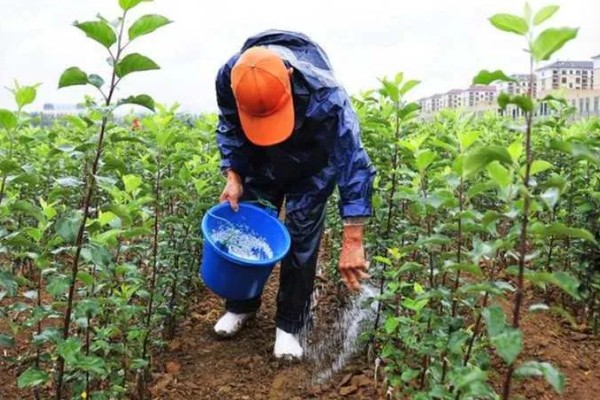 合理施用化肥有利于环境保护吗，合理施用都能为环境保护做出贡献
