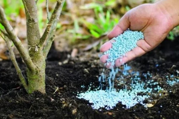 合理施用化肥有利于环境保护吗，合理施用都能为环境保护做出贡献