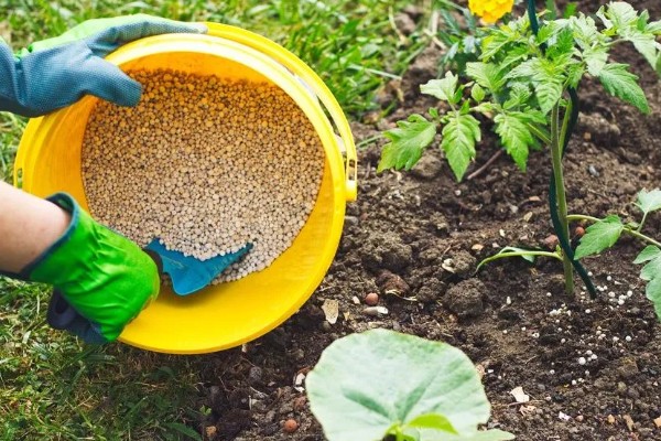 合理施用化肥有利于环境保护吗，合理施用都能为环境保护做出贡献