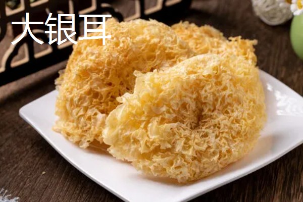 银耳的主要产地分布，主要分布于四川省、浙江省等地