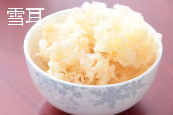 银耳的主要产地分布，主要分布于四川省、浙江省等地