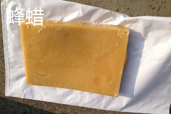 蜂蜡和蜂胶有什么区别,来源、作用、成分都不同