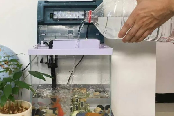 热带鱼头洞病的治疗方法，把脓包挤干净再涂抹药粉