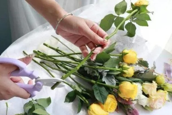 简易的醒花方法，修剪花枝底部后放入水桶中