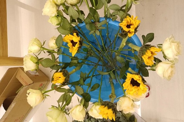 简易的醒花方法，修剪花枝底部后放入水桶中