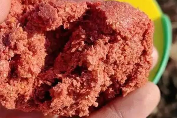 钓鱼没拉丝粉如何解决，可用面粉、蚯蚓、发酵麦粒代替