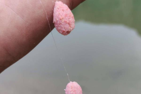 钓鱼没拉丝粉如何解决，可用面粉、蚯蚓、发酵麦粒代替