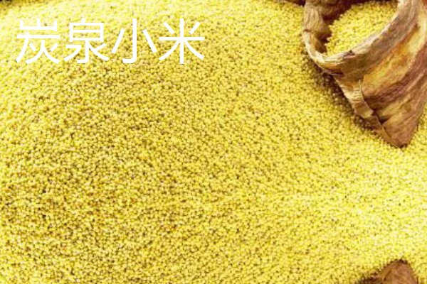 吉林省长白县的特产，长白山蓝莓深受消费者喜爱