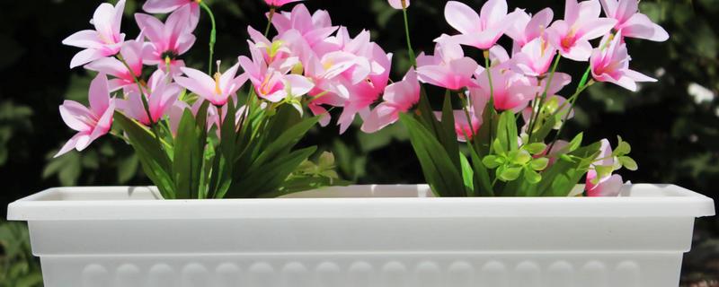 常见的花盆种类，有塑料花盆、紫砂盆等