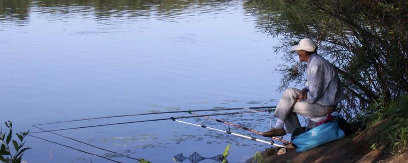 气温25℃钓鱼深度，钓1-2米深比较合适