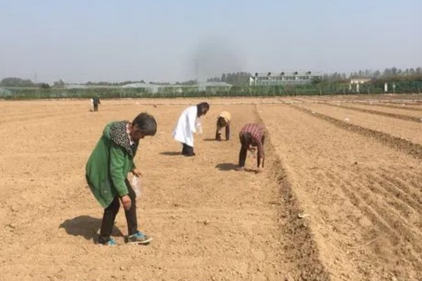 烟草育苗要求,育苗地应避风向阳