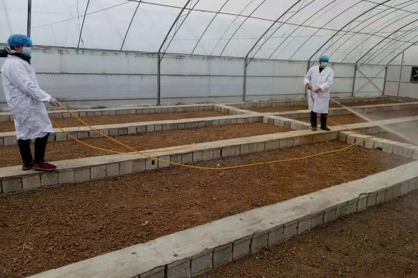 烟草育苗要求,育苗地应避风向阳