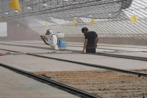 烟草育苗要求,育苗地应避风向阳