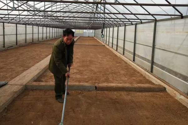 烟草育苗要求,育苗地应避风向阳