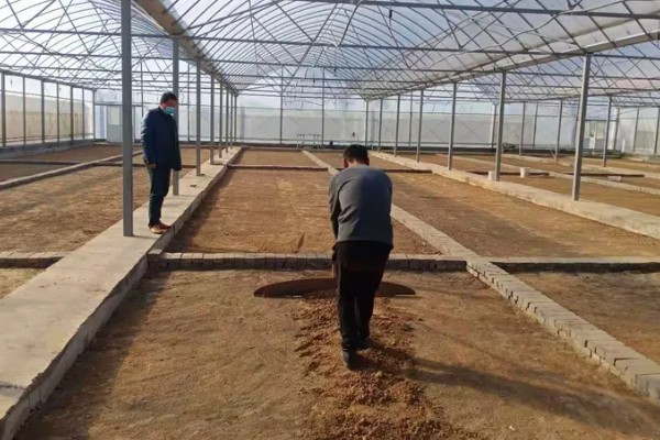 烟草育苗要求,育苗地应避风向阳