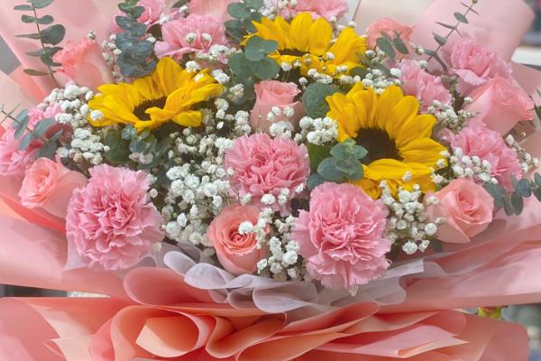 康乃馨的扦插时间，以3-4月份为宜