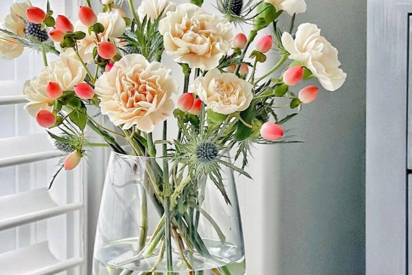 康乃馨的扦插时间，以3-4月份为宜