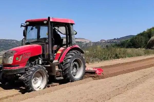 柴胡地里有白蒿能不能喷药除草，最好是人工拔除