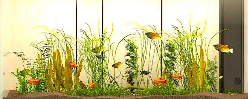 鱼缸水泵坏了怎么应急，只能通过换水来应急