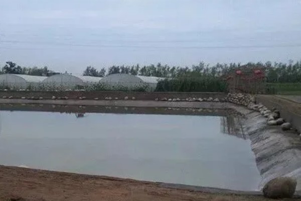 泥鳅的饲料,可饲喂玉米粉、豆渣、小鱼虾等食物