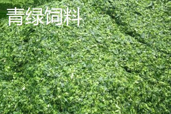 猪饲料有哪些添加剂，按成分分为中药类、益生菌类等