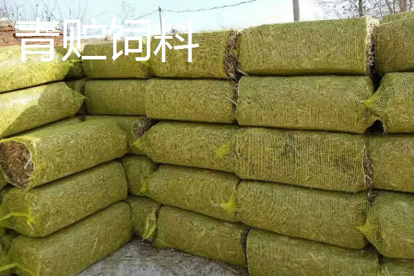 猪饲料有哪些添加剂，按成分分为中药类、益生菌类等